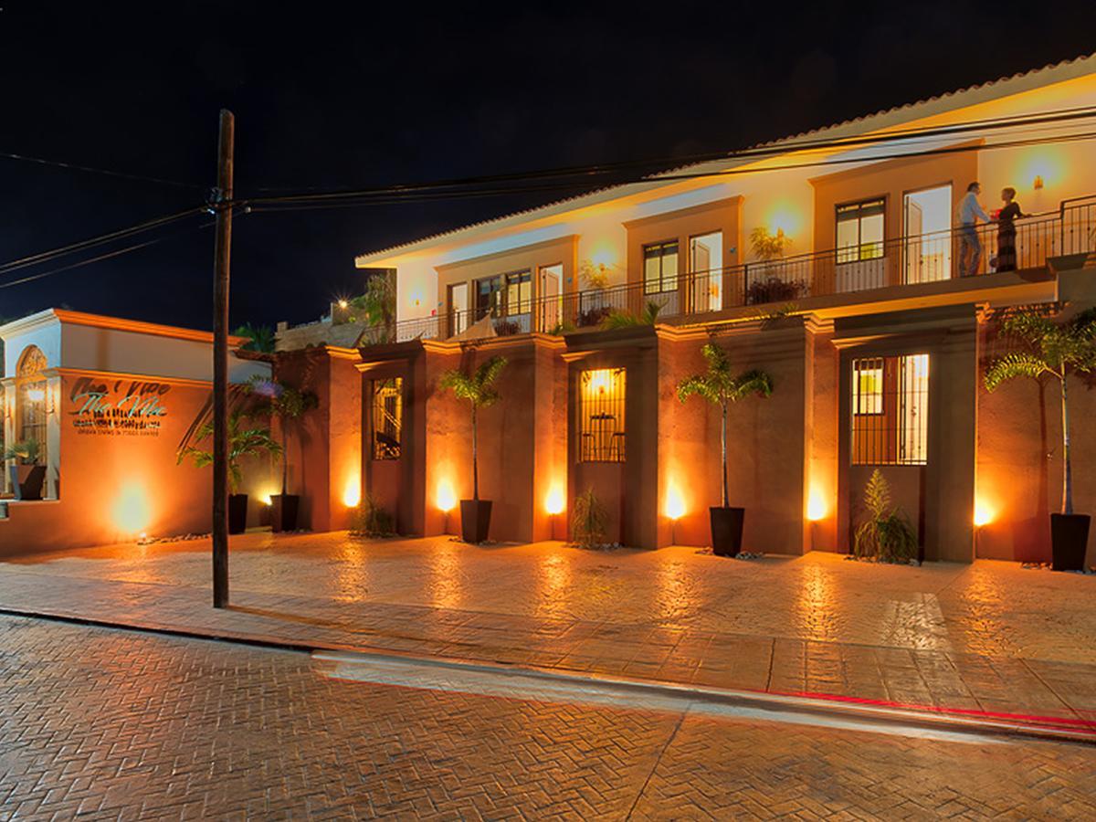 The Vibe Boutique Bed & Breakfast (Adults Only) トドス・サントス エクステリア 写真